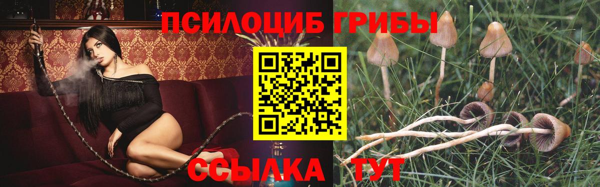 Киров  Псилоцибиновые грибы Psilocybine cubensis  Вход с VPN  Псилоцибиновые грибы GOLDEN TEACHER 