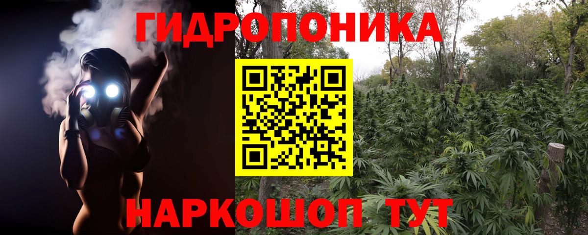 Конопля планчик  Марихуана тримм  Вход с VPN  Каннабис марихуана  Киров 